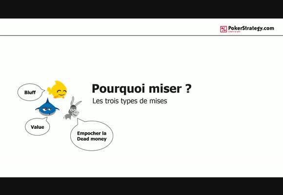 Pourquoi mise-t-on ?