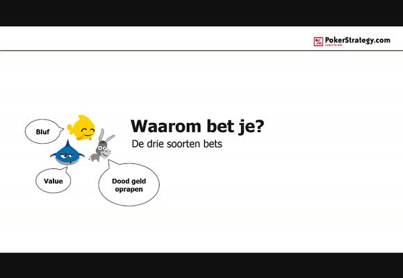 Waarom bet je? 
