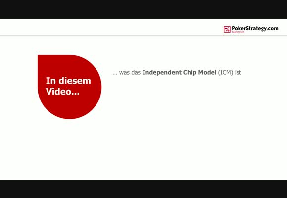 Die Grundlagen des ICM