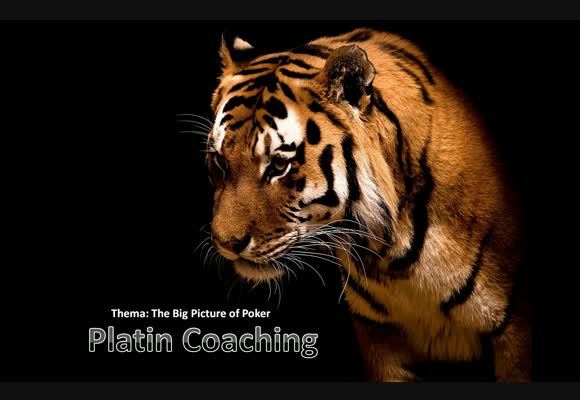 richtiger Spot, falsche Karten - Coaching Review