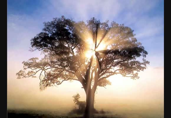 Finding Your A-Game: Inner Body Anchoring