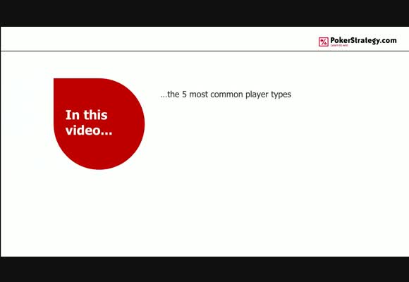 The 5 Player Types