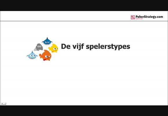 De 5 spelerstypes