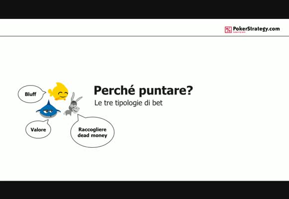 Le Basi: Perché puntare?