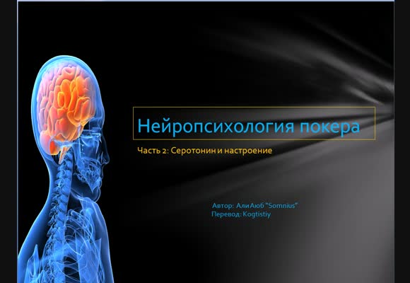 Нейропсихология покера, Серотонин и настроение, часть 2