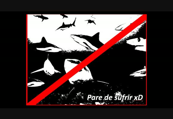 Concurso de vídeos - Pare de sufrir xD - claudiok64